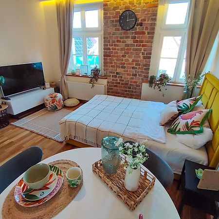 Apartamenty Piekary 11 Przy Wisle By Rentoom Torun Exterior foto